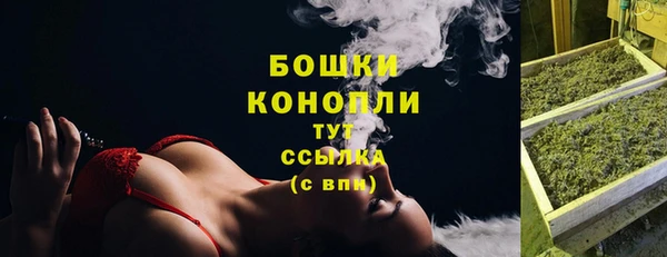 амф Краснослободск