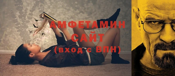 амф Краснослободск